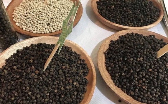 （示意圖源：互聯網） 