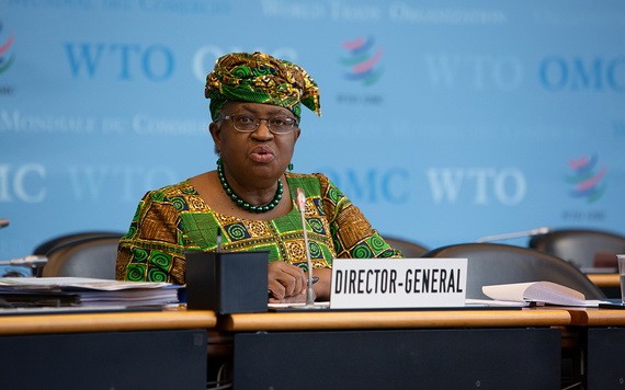 3月1日，在瑞士日內瓦，恩戈齊·奧孔喬－伊韋阿拉出席世界貿易組織總理事會會議。（圖源：新華社）