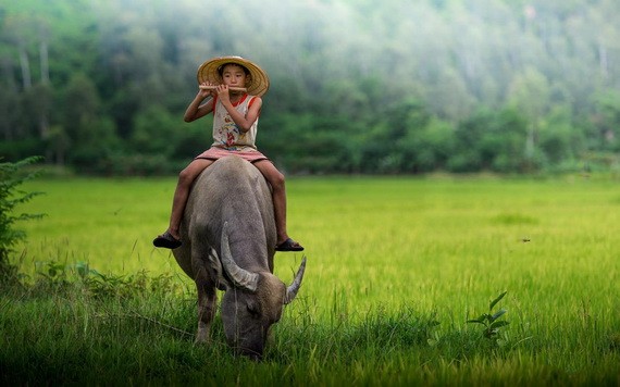 （示意圖源：互聯網） 