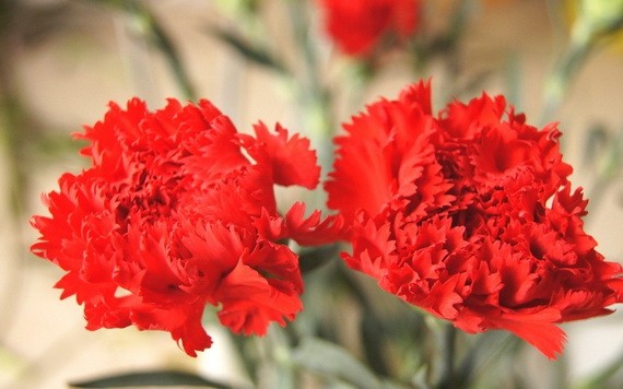 （示意圖源：互聯網） 