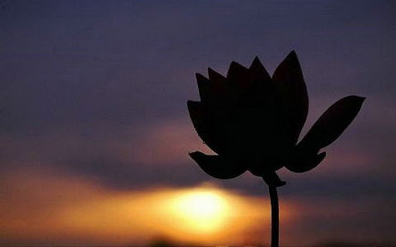 （示意圖源：互聯網） 