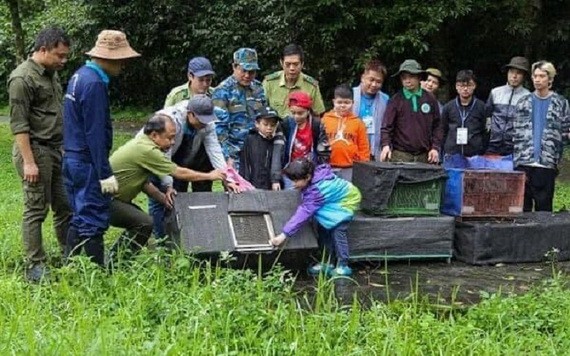 釋放 92  頭野生動物回歸大自然