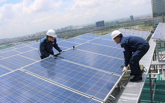 （圖源：瓊珍） 