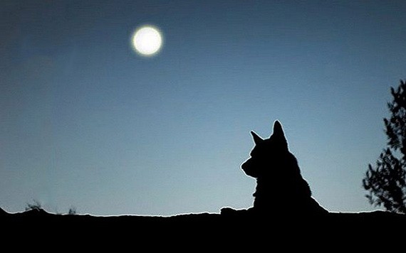 （示意圖源：互聯網） 