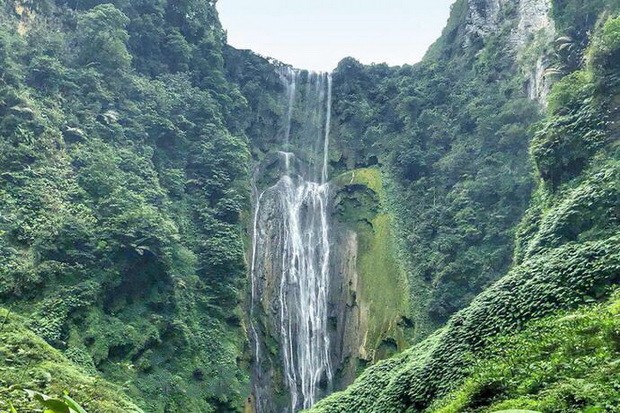 靖西：山水似桂林　氣候勝昆明 ảnh 1