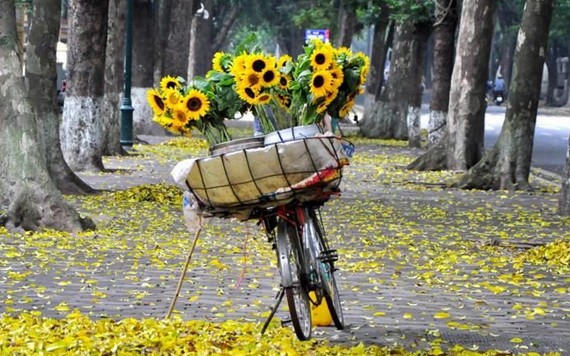 （示意圖源：互聯網） 