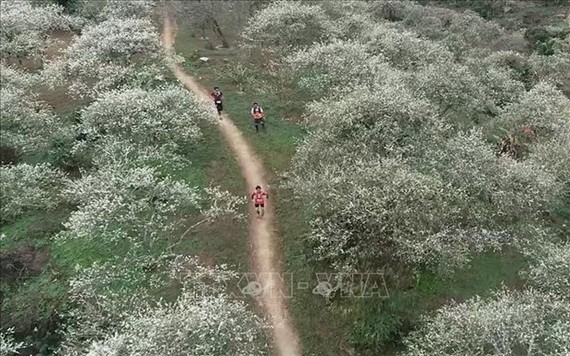 運動員正在賽中。（圖源：互聯網）