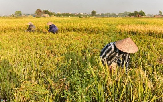 （示意圖源：互聯網） 