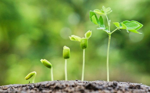 （示意圖源：互聯網） 