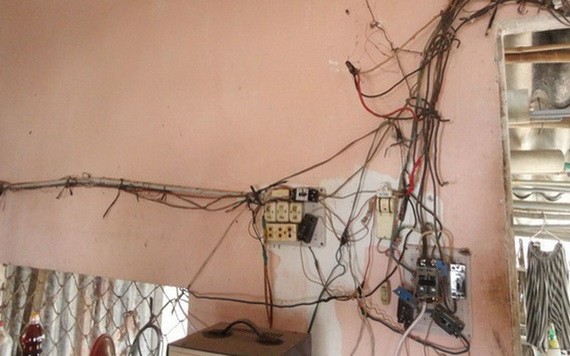 平盛郡某個電器店向客戶推介既節能又安全的led燈泡。