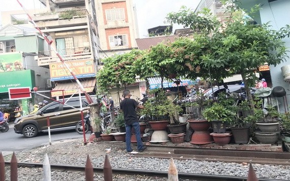 某人在鐵路安全走廊種植盆景。