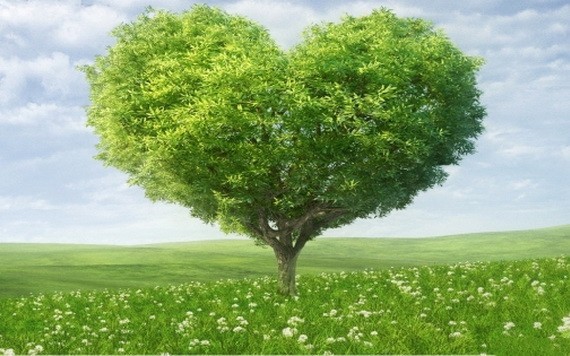 （示意圖源：互聯網） 