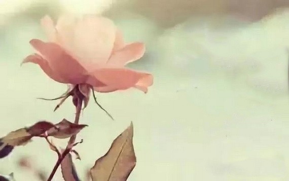 （示意圖源：互聯網） 