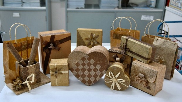 利用香蕉樹幹製出環保產品 ảnh 1