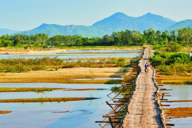 迷人的平定占婆塔 ảnh 2