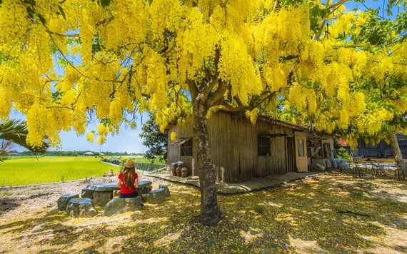 （示意圖源：互聯網） 