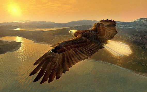 （示意圖源：互聯網） 