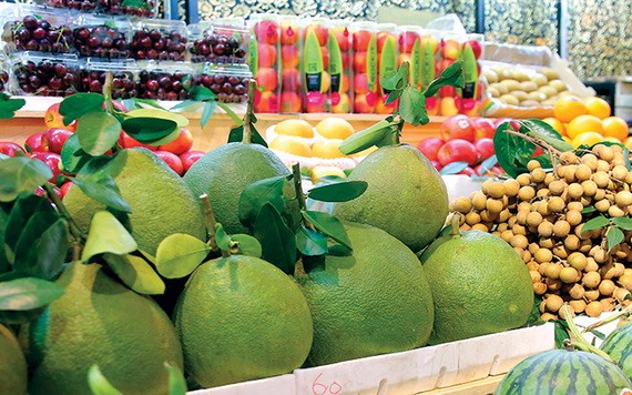 （示意圖源：成華） 