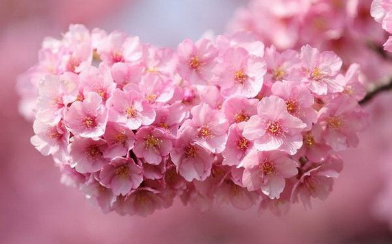 （示意圖源：互聯網） 