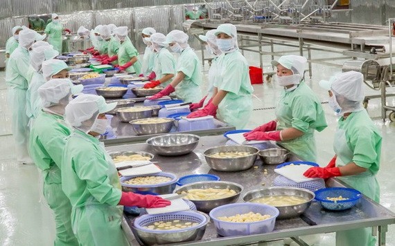 順鋒公司的加工果蔬外銷美國、日本、韓國、澳大利亞和歐洲等市場。