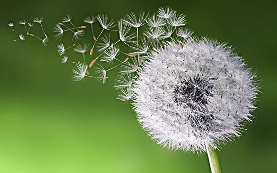 （示意圖源：互聯網） 