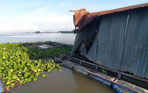 駁船撞沉兩養魚網箱