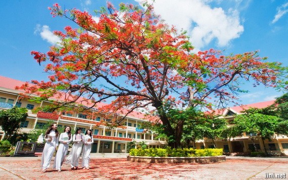 （示意圖源：互聯網） 