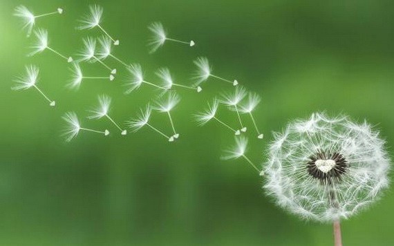 （示意圖源：互聯網） 