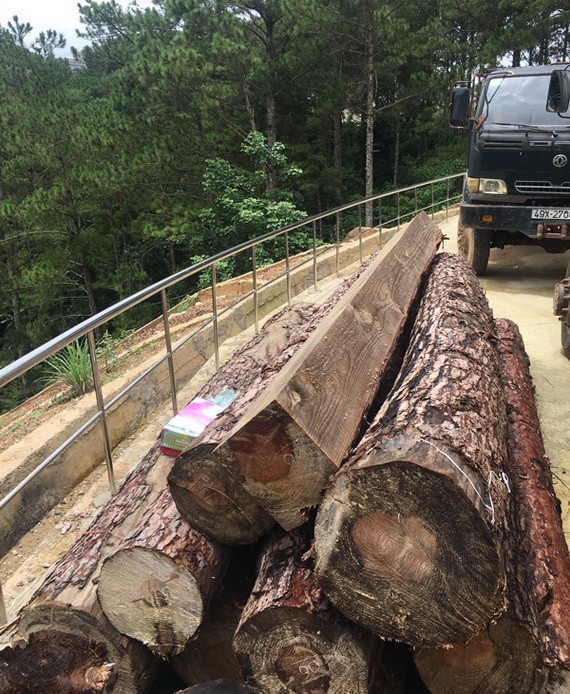 被查獲的物證。（圖源：阮義）