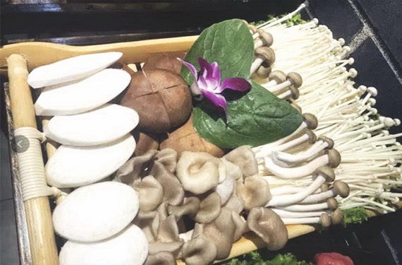 “菇類”降血壓、血脂，也能增強大腦！