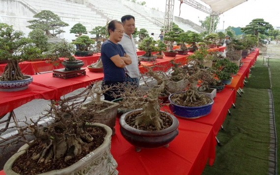 （示意圖源：互聯網）