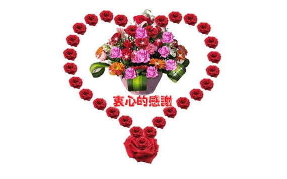 越南革命報刊日鮮花禮物懇辭