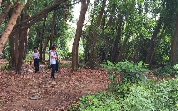 舊邑文化公園項目成為荒地一瞥。