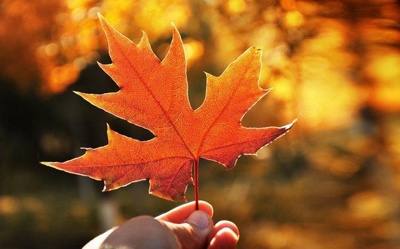 （示意圖源：互聯網）