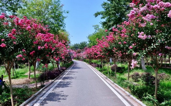 （示意圖源：互聯網）