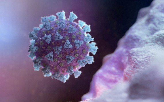 新冠病毒計算機圖像。（圖源：路透社）