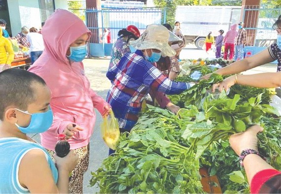 各省市陸續協助本市現款及食品