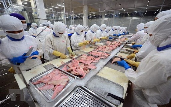 今年上半年農林水產領域同比增長。（圖源：越通社）