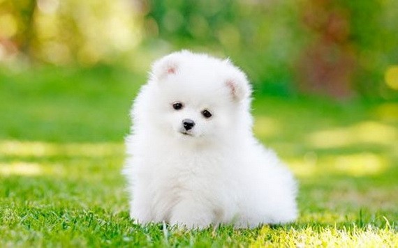 （示意圖源：互聯網） 