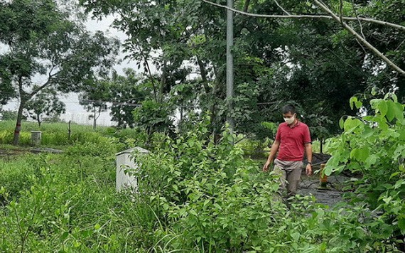 客戶於2004年買地，但至今仍未能建房。