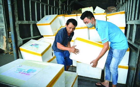 廣平省向本市捐贈３噸魚