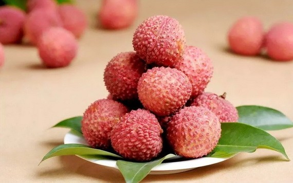 （示意圖源：互聯網） 