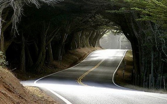 （示意圖源：互聯網） 