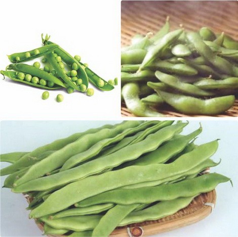 7月不吃肉也要吃這3瓜3豆！ ảnh 1