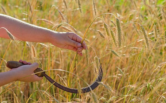 （示意圖源：互聯網） 