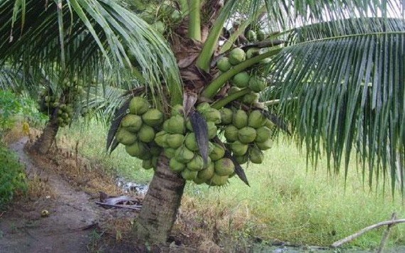 （示意圖源：互聯網） 