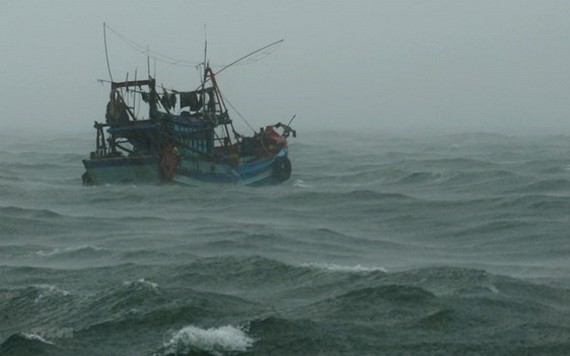 ３號颱風轉弱成低壓區。（示意圖源：越通社）