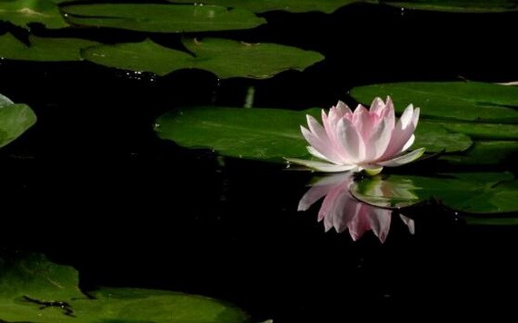 （示意圖源：互聯網） 