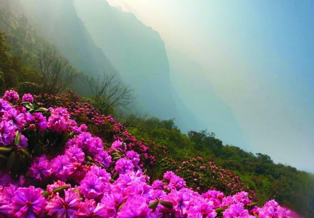 征服普塔亮山嶺 ảnh 1