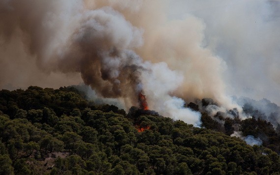 希腊阿哈伊亚林火持续蔓延 致16人入院治疗。（圖源：Global Times）